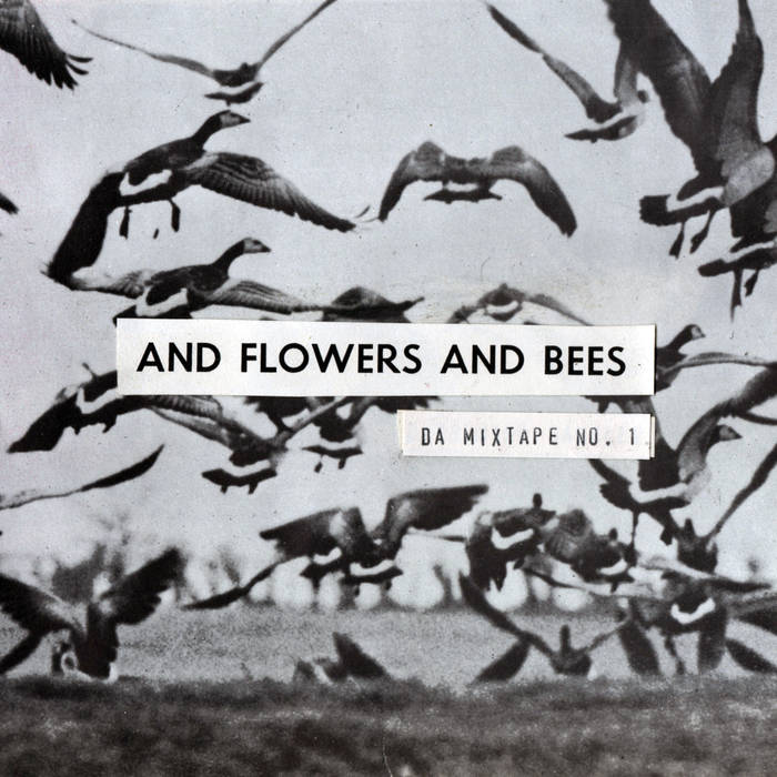 flowersbees